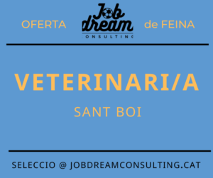 oferta de feina veterinari job dream