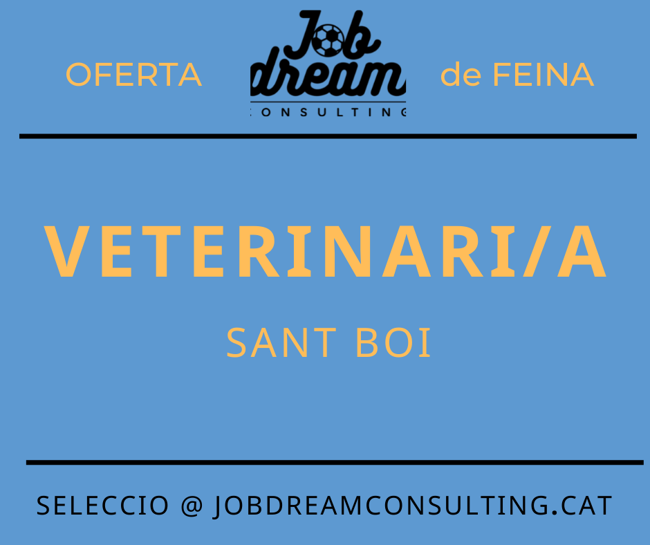 Oferta veterinari – job dream